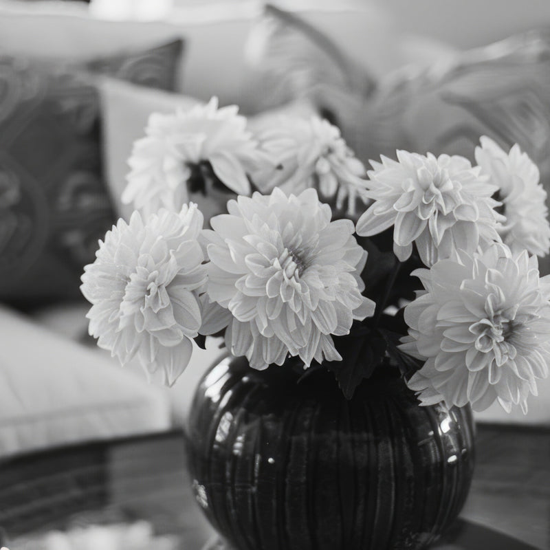 letzter Versandtag 2025